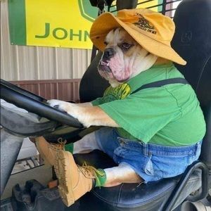 Meet your Posher, Shane